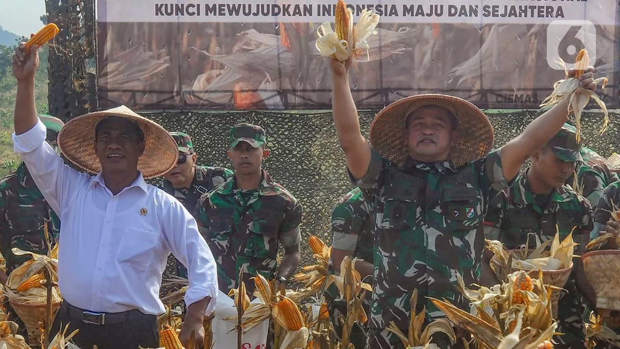 Kasad Maruli Simanjuntak dan Mentan Amran Sulaiman Panen Jagung di Food Estate Sukabumi