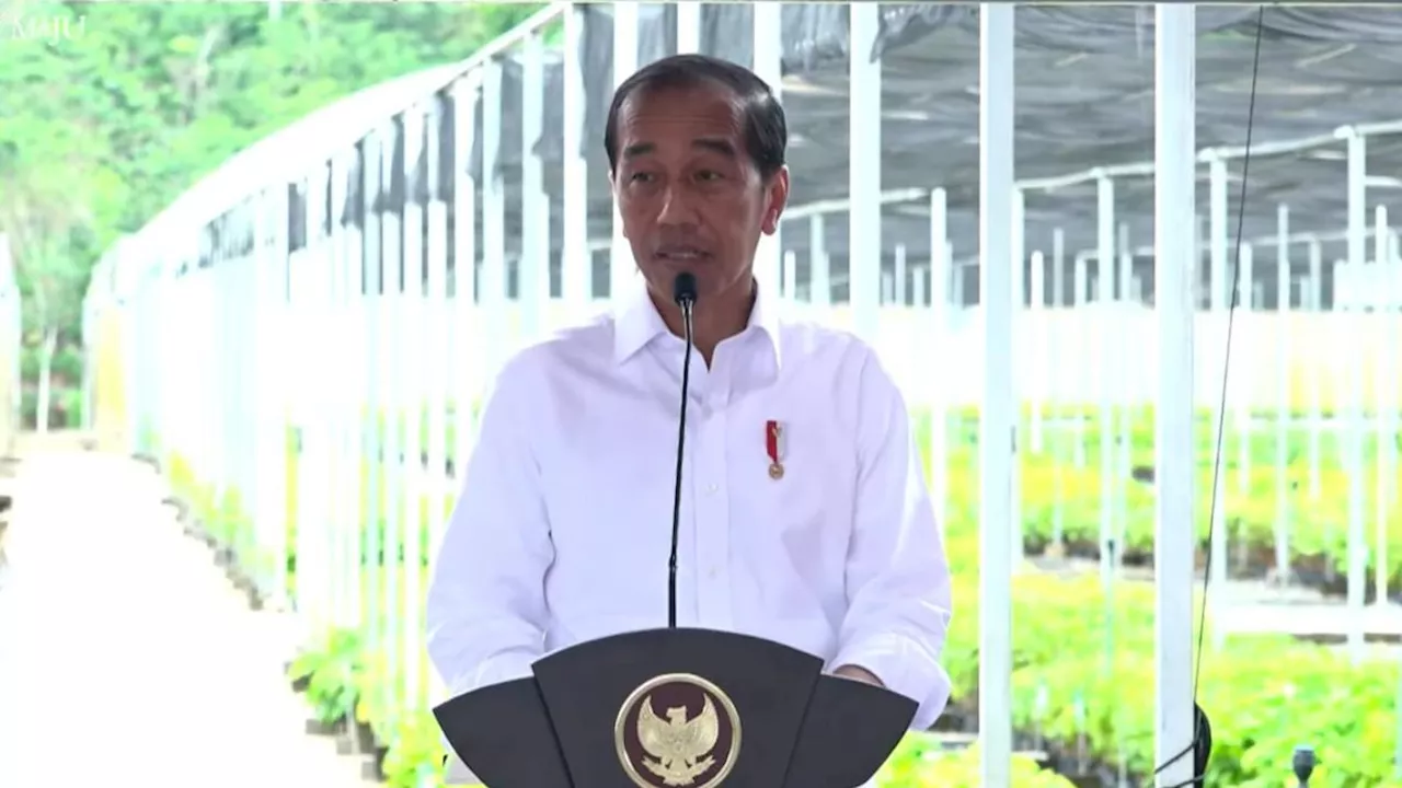 Resmikan Persemaian Mentawir Berkapasitas 15 Juta Bibit, Jokowi: Untuk Hijaukan IKN