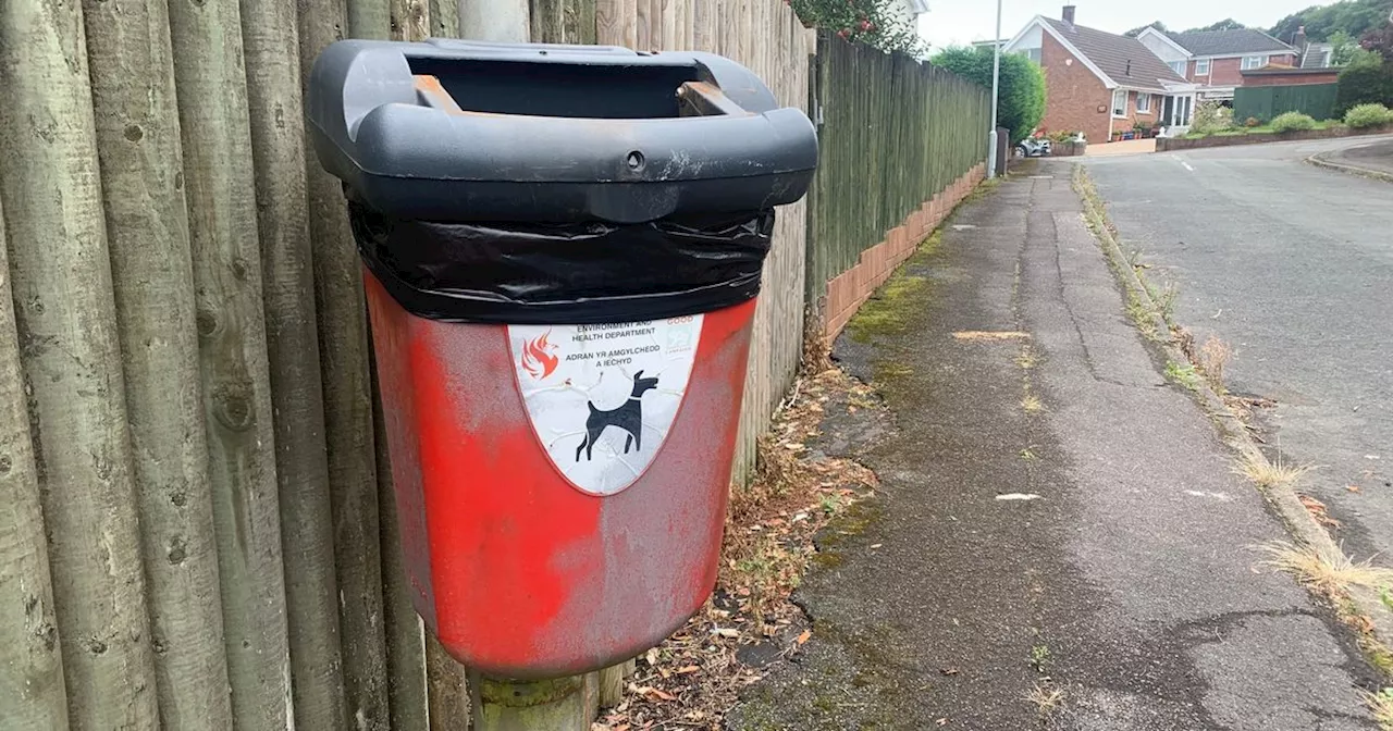 Dog poo crackdown in after council flooded with 80 complaints