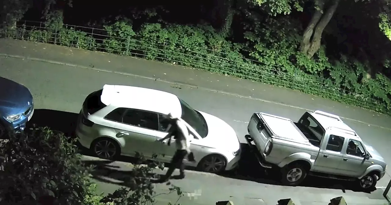 Hunt for shameless car thieves plaguing quiet residential street