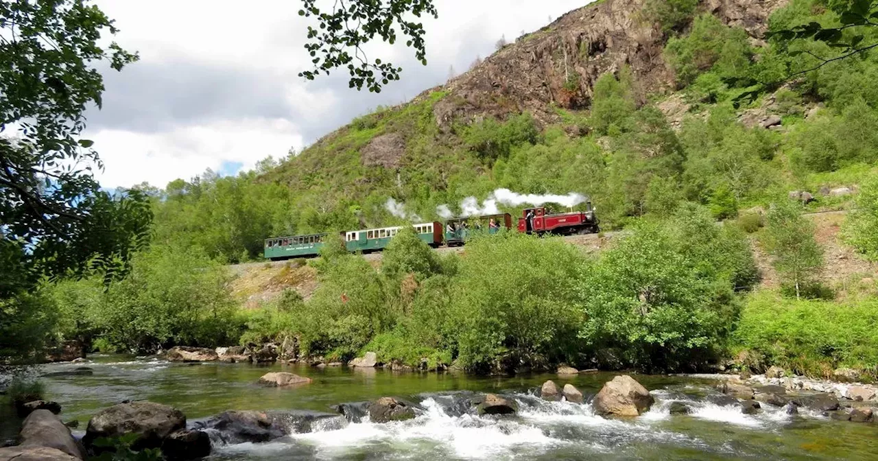 This stunning riverside walk is the UK's must-do for summer