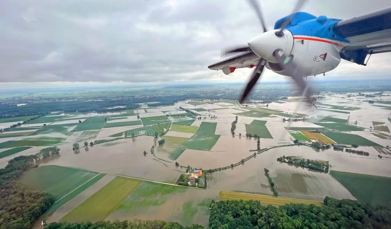 Frau von Hochwasser überrascht – nach zwei Tagen aus Baumkrone gerettet