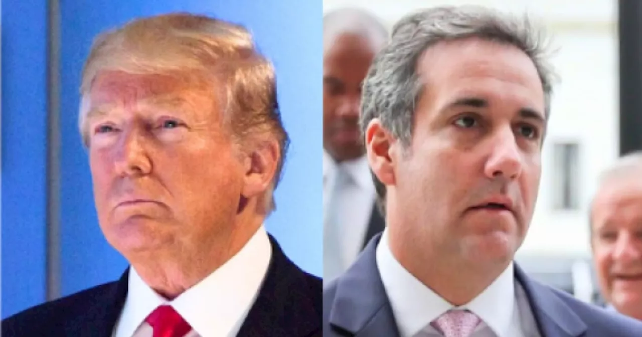 Michael Cohen on getting doxxed with family after Trump's 34 felony convictions