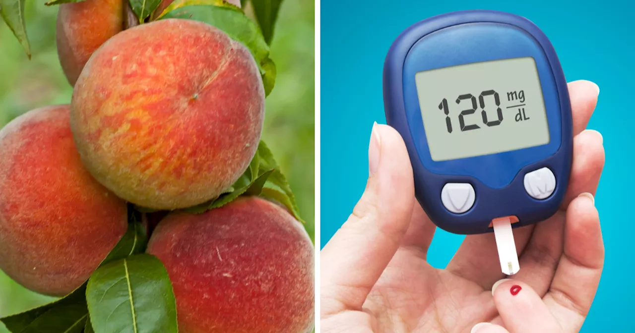 Best Fruits For Diabetes: डायबिटीज की दवा छुड़वा देंगे ये 10 फल, ऐसे खाएंगे तो हमेशा काबू रहेगा ब्लड शुगर