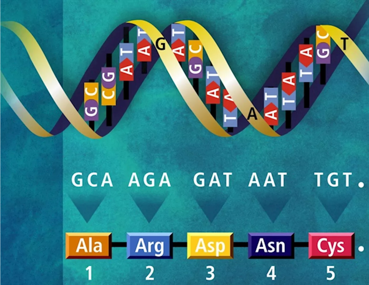 Novel small molecule oral antiviral could be a game-changer in the fight against future pandemics