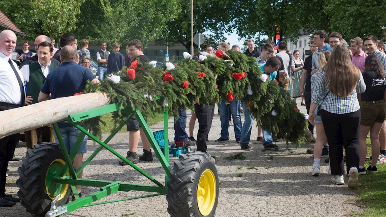 Drakonische Strafen für Maibaumdiebe