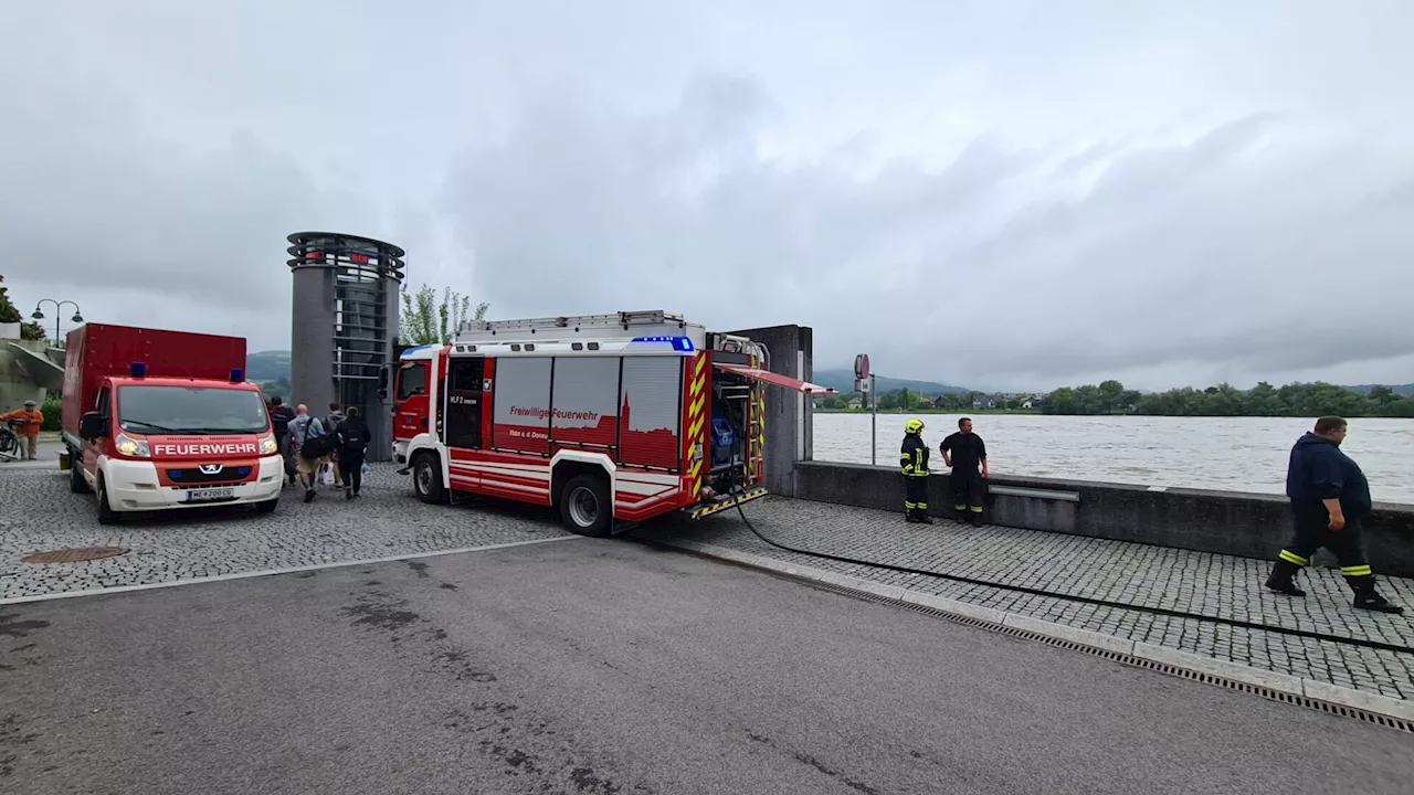 Hochwasser in Ybbs: Donaulände wird geräumt