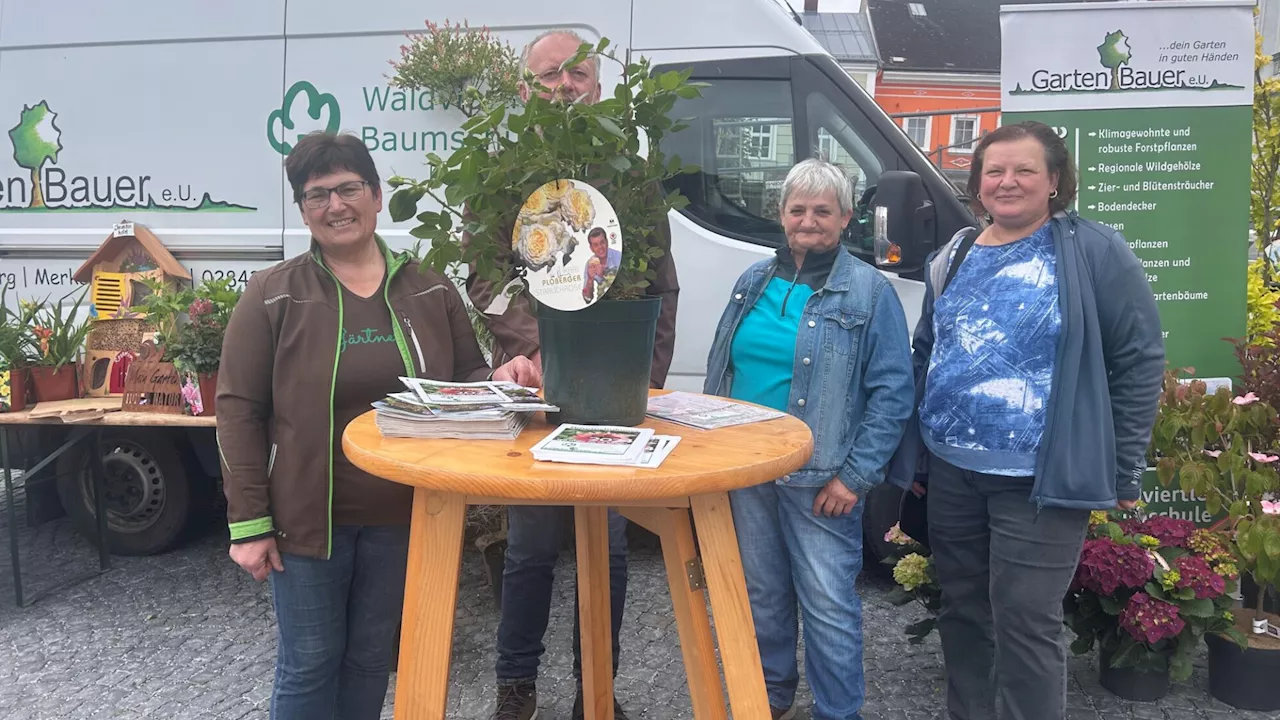 „Natur im Garten“: Markttour brachte Grün ins regnerische Waidhofen