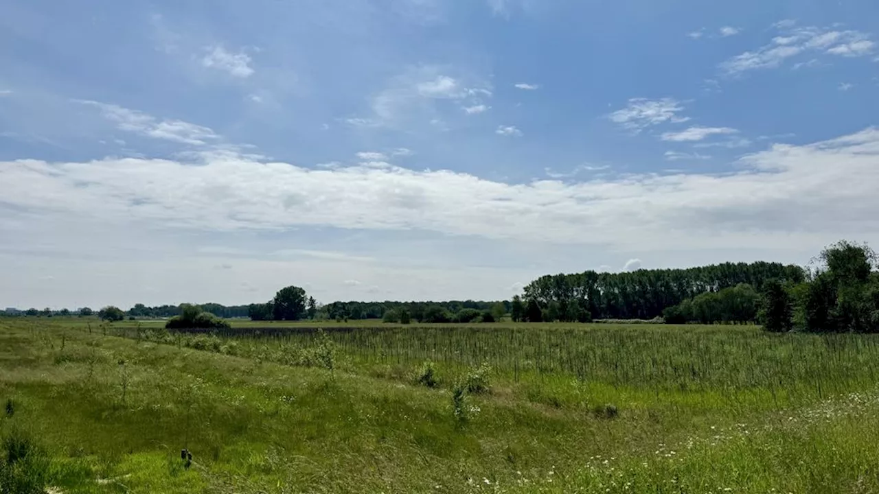 Groen licht voor groei ASML lijkt binnen handbereik, maar er zijn ook zorgen in Eindhoven