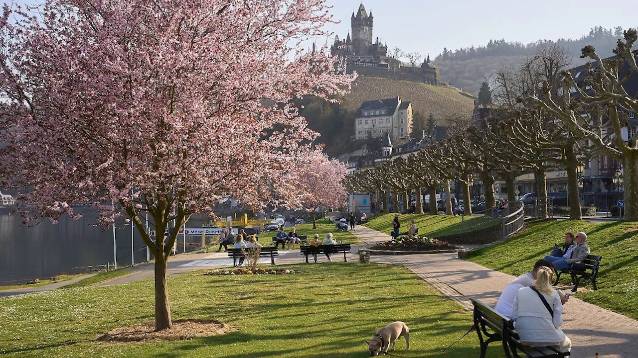 Rheinland-Pfalz & Saarland: Positiver Jahresbeginn für Tourismus in Rheinland-Pfalz