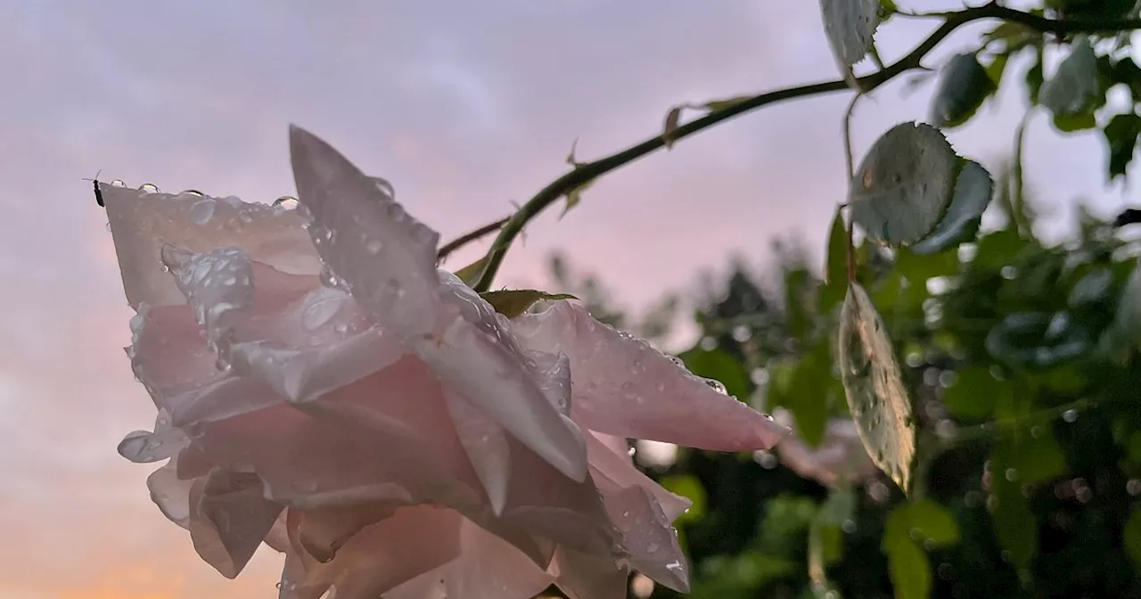 Wärmster Frühling seit 130 Jahren im Kreis Minden-Lübbecke: Wie wird das Wetter im Sommer?