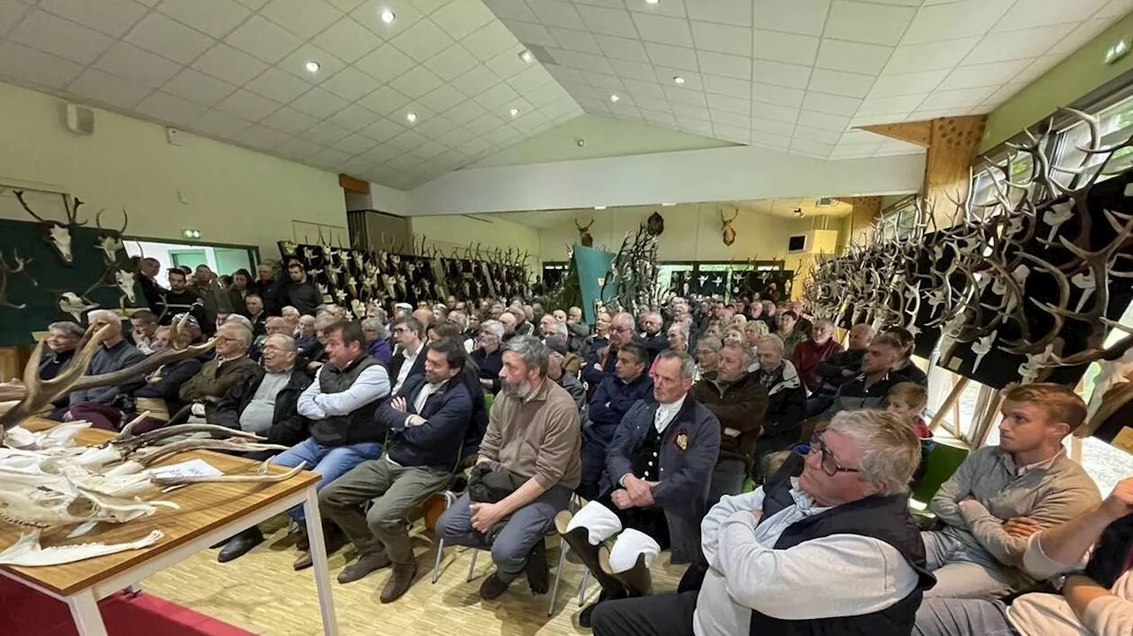 Dans l’Orne, « la population des cervidés est dans une bonne dynamique »