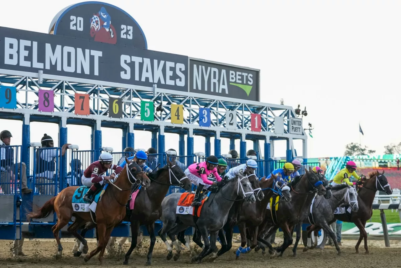 Belmont Stakes 2024: Sierra Leone installed as the morning-line favorite for Saturday’s race