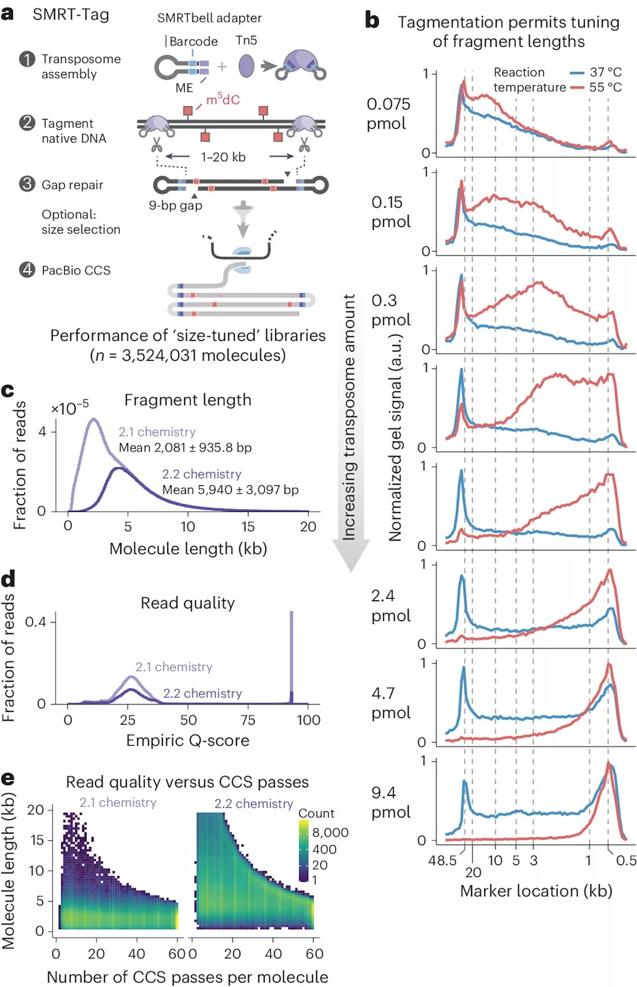 Scientists push single-molecule DNA sequencing to the next level