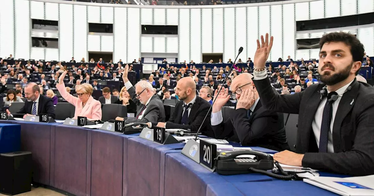 Europawahl 2024:​ Parlament ist mächtiger als oft vermutet