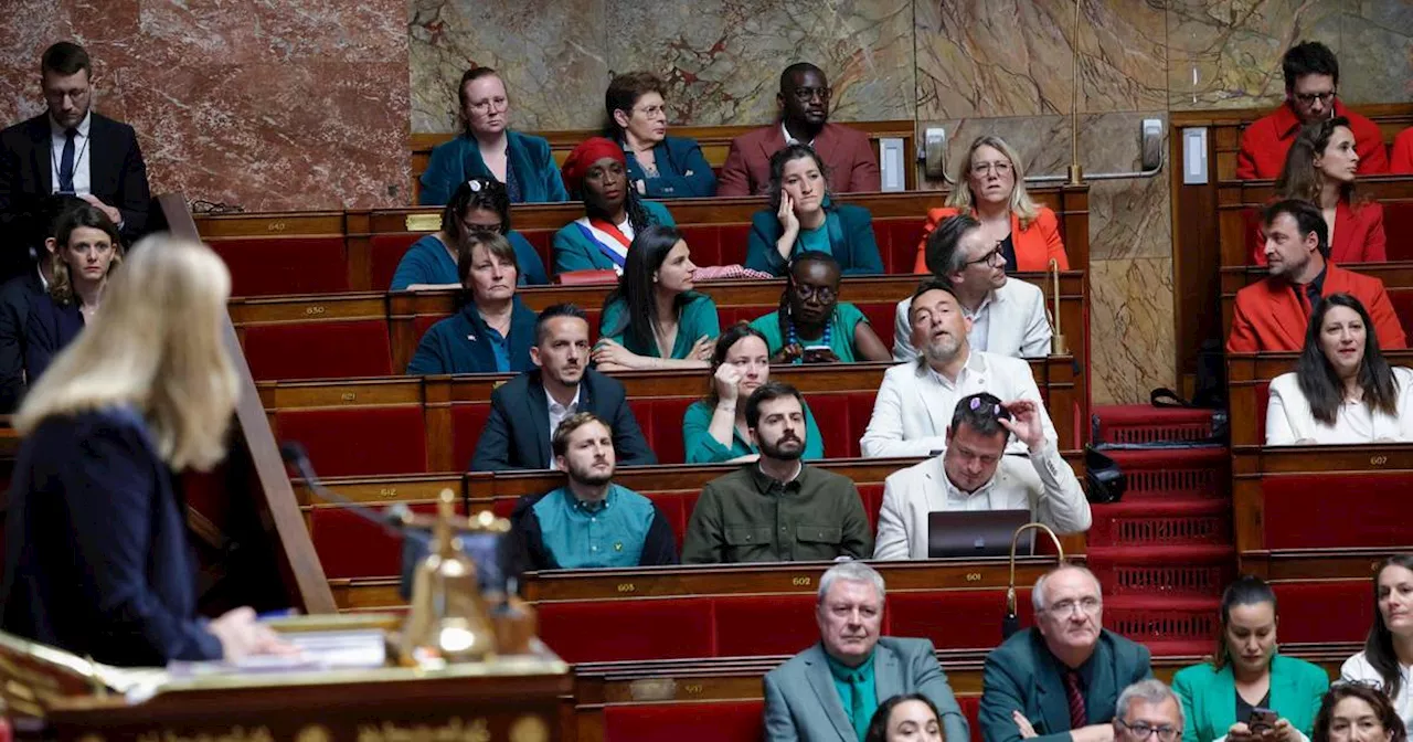 Frankreich: Tumult im Parlament wegen palästinensischer Symbole​