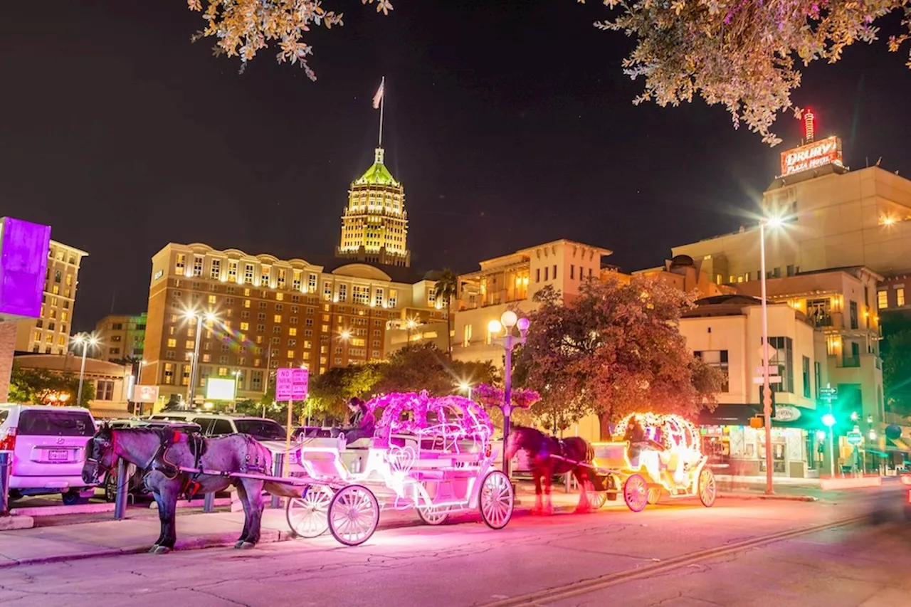 San Antonio council members exchange words with vet defending downtown carriages