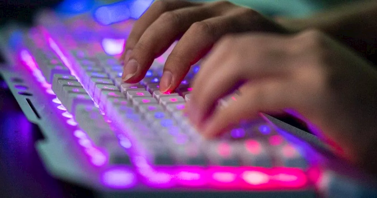 Canada's cybercrime teams massively understaffed, says auditor general