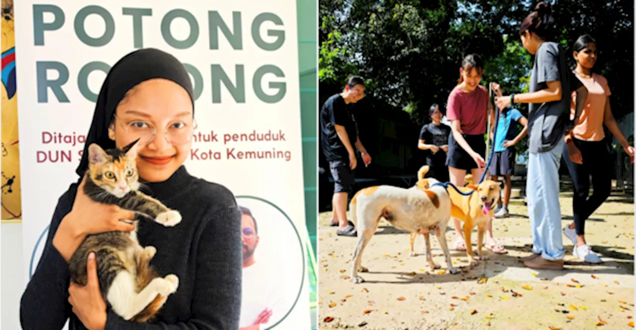 Xiaomi Teams Up With SPCA Selangor To Spay And Neuter Over 100 Stray Animals In Selangor