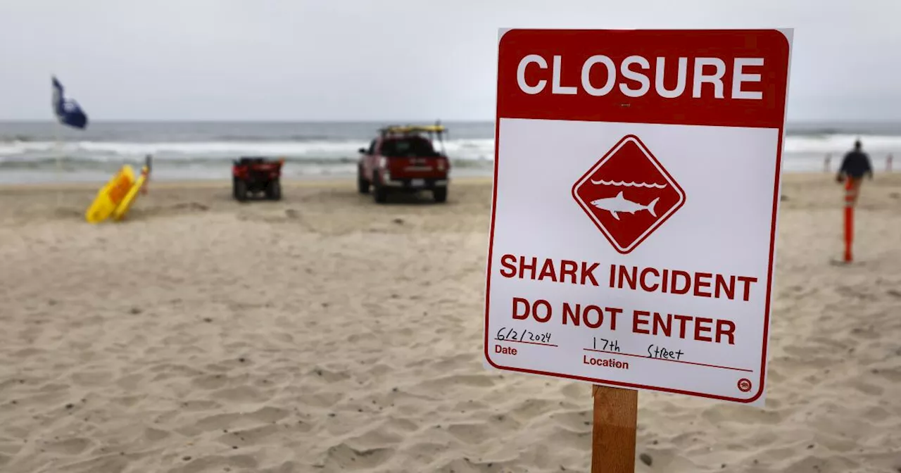 Beaches set to reopen in Del Mar after swimmer bitten by shark Sunday