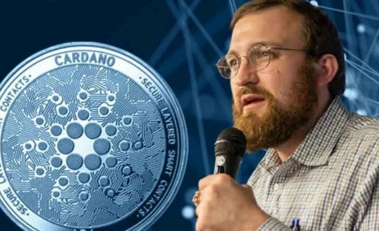 ชุมชน ADA โล่งอก! Charles Hoskinson ยืนยันว่า “มีเงินทุนเพียงพอ” สำหรับการพัฒนา Cardano