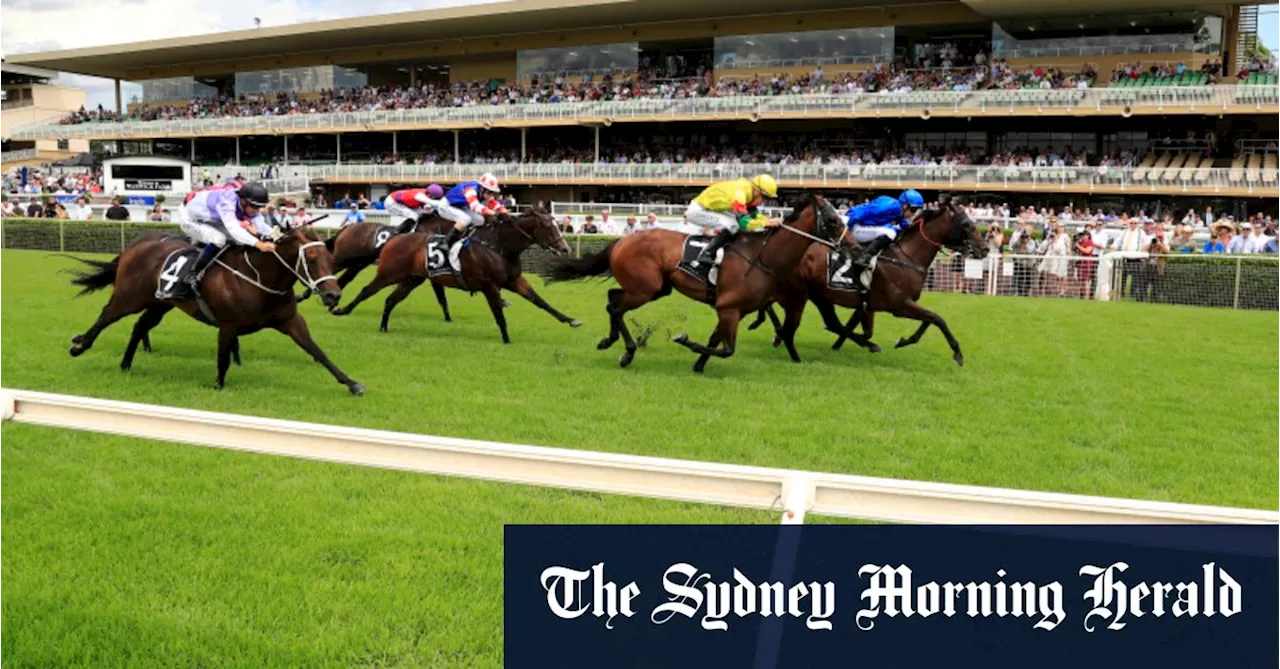 Race-by-race preview and tips for Warwick Farm on Wednesday