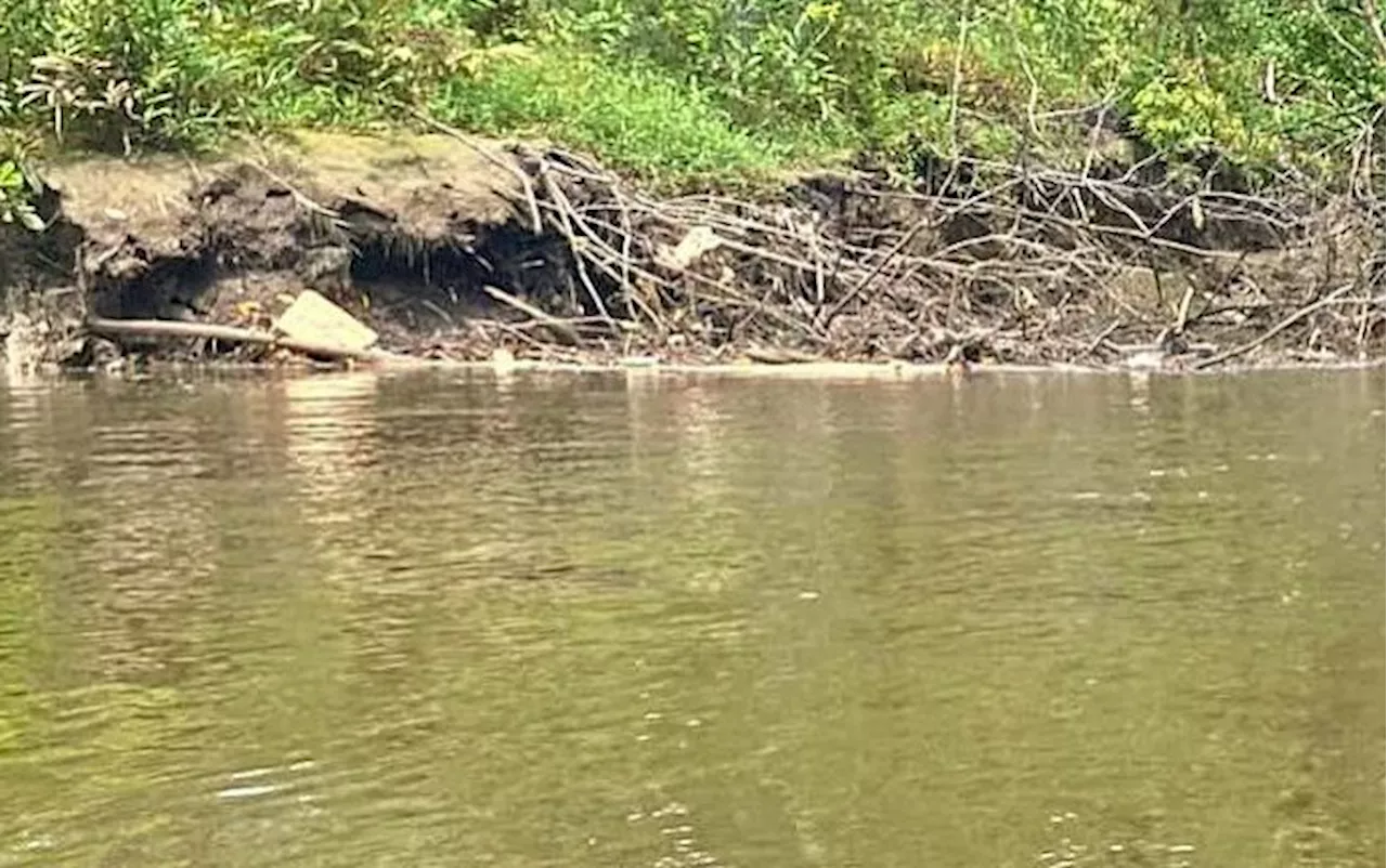 Search underway for missing fisherman in Sungai Benut