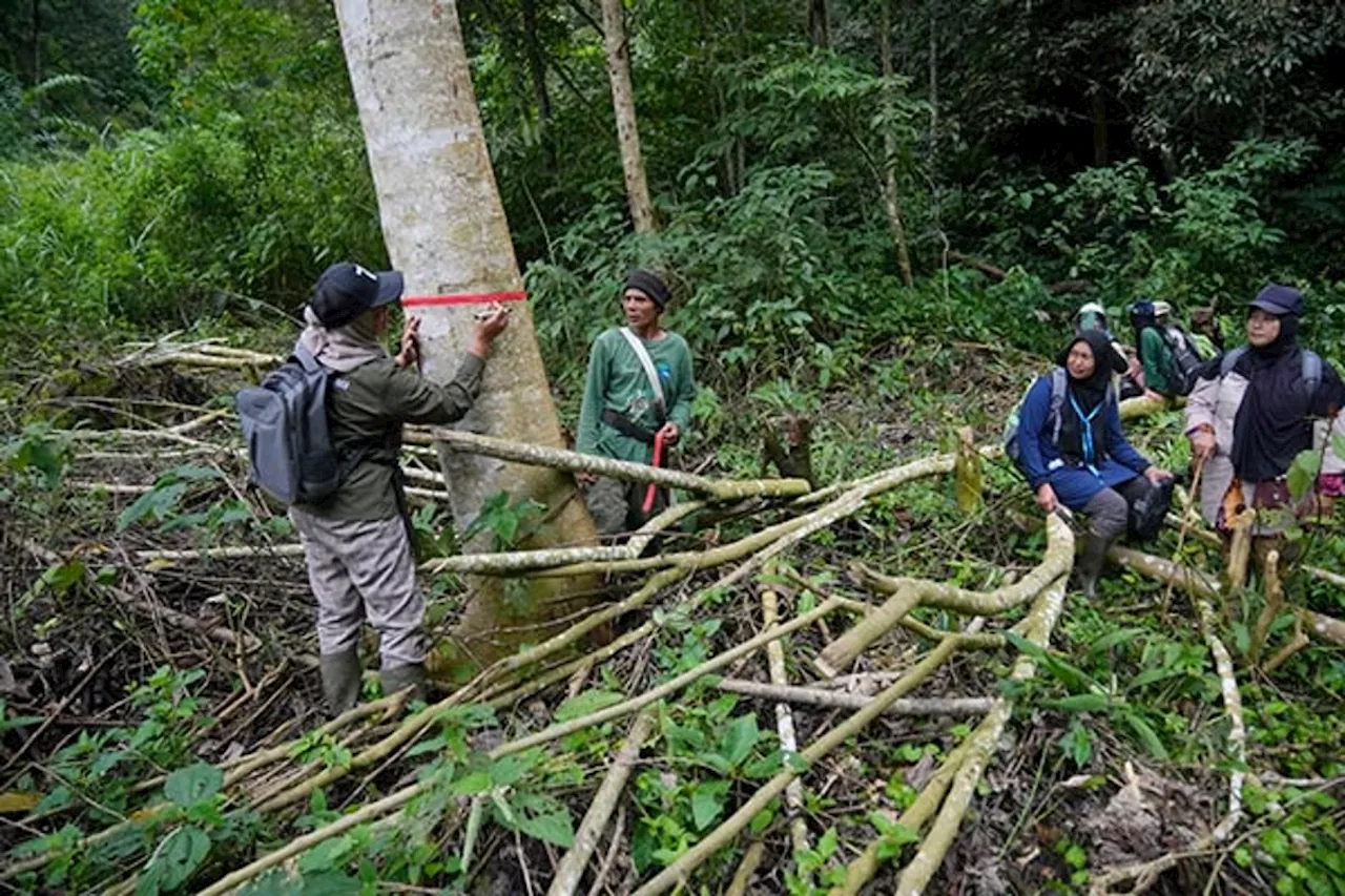 In Indonesia, women ranger teams go on patrol to slow deforestation