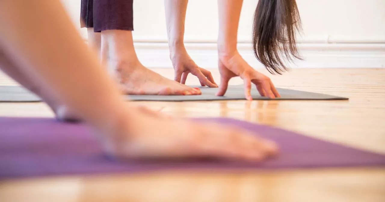 Präventionskurse: Wenn die Krankenkasse Yoga zahlt