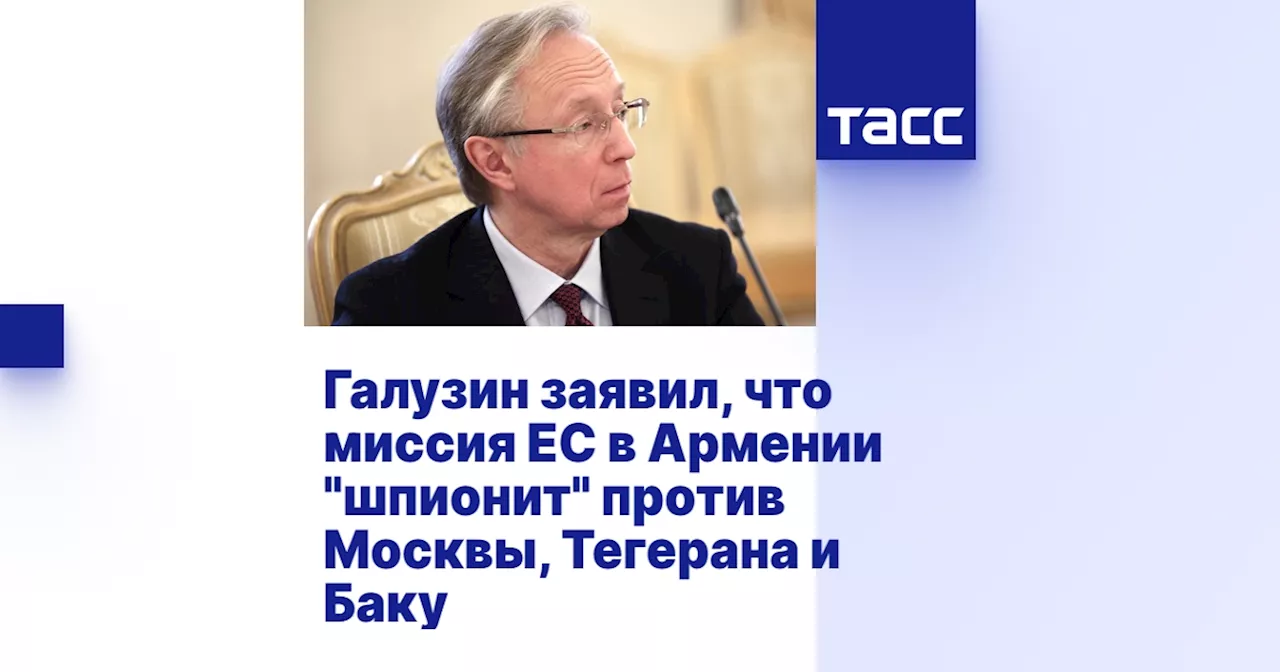 Галузин заявил, что миссия ЕС в Армении 'шпионит' против Москвы, Тегерана и Баку