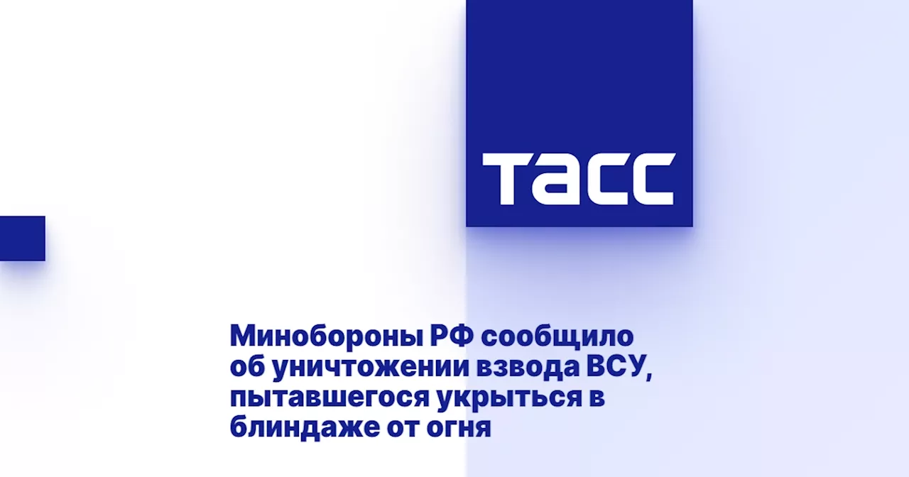 Минобороны РФ сообщило об уничтожении взвода ВСУ, пытавшегося укрыться в блиндаже от огня