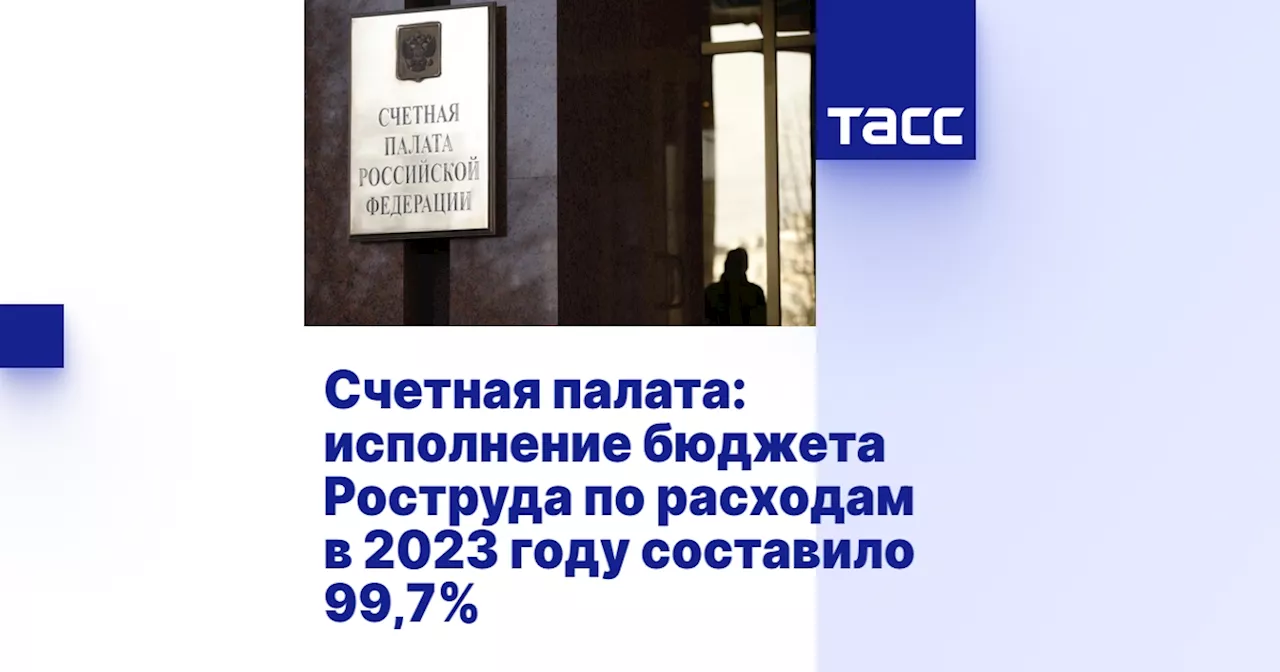 Счетная палата: исполнение бюджета Роструда по расходам в 2023 году составило 99,7%