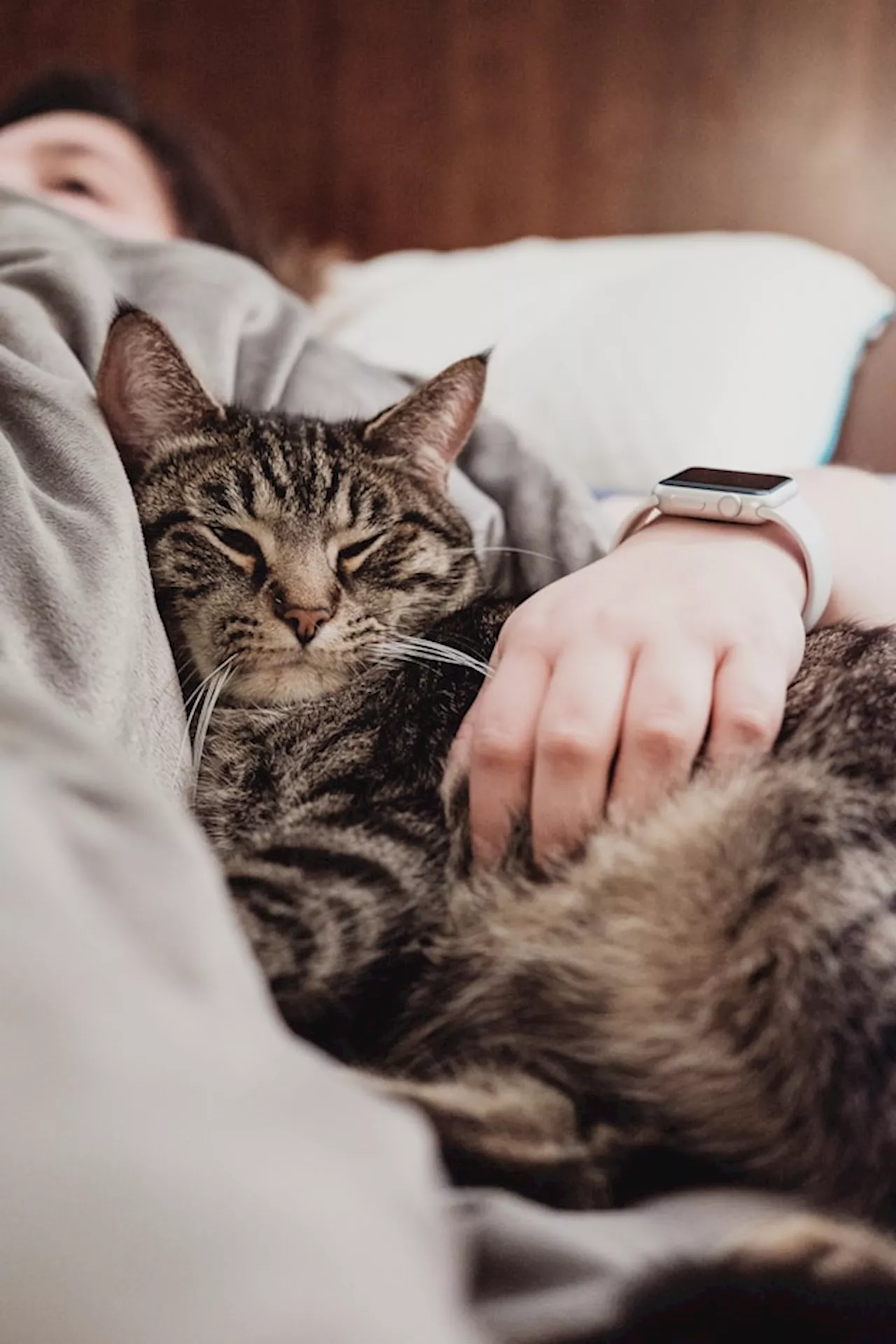 What happens when you sleep with your cat every day?