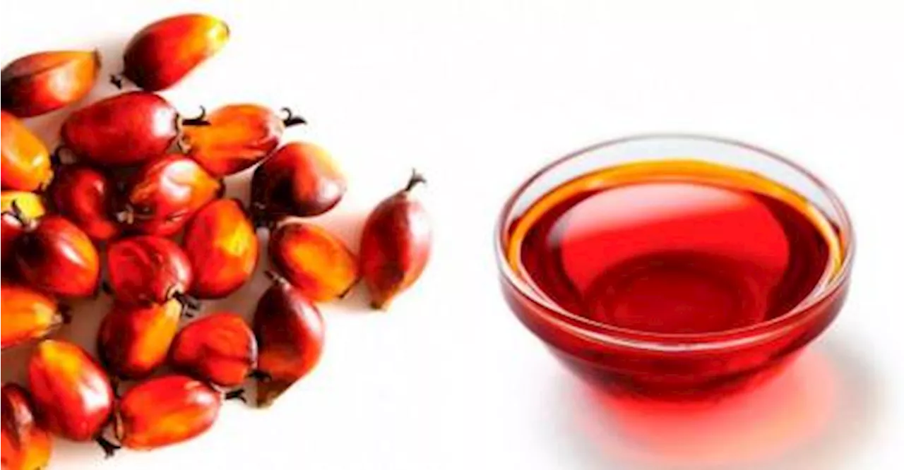 Unlocking benefits of sustainable palm oil for skin, body care