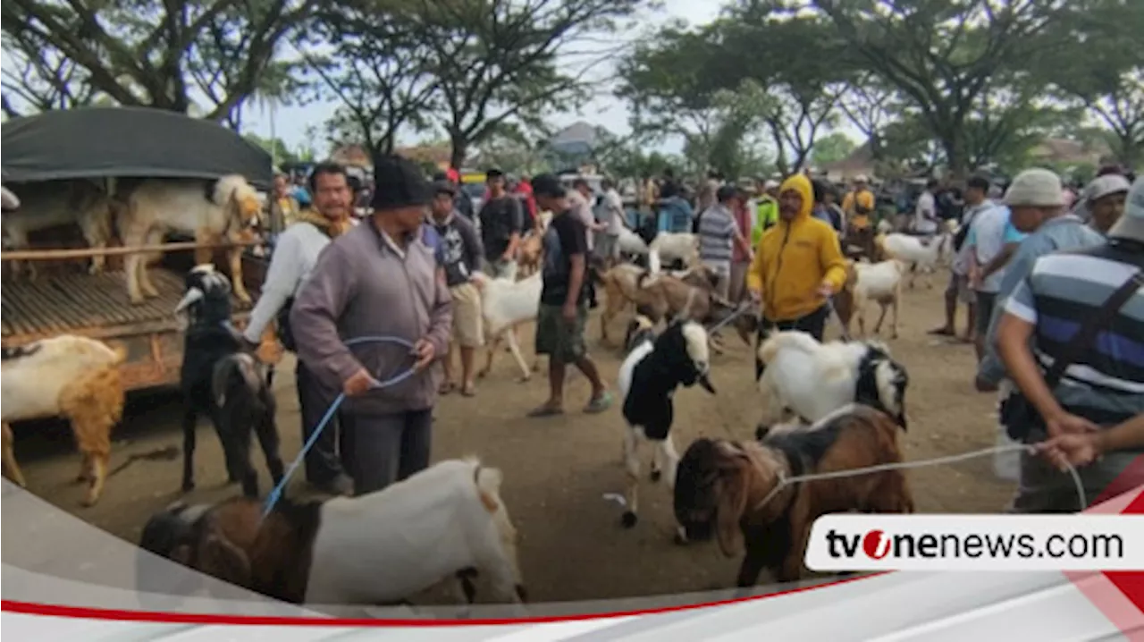 Jelang Idul Adha, Penjualan Kambing Kurban di Pasar Hewan Wlingi Blitar Meningkat