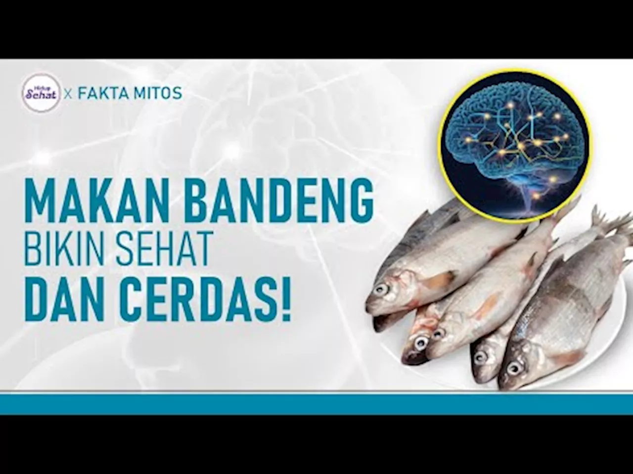 Keistimewahan Ikan Bandeng, Nutrisinya Tak Kalah dengan Ikan Laut