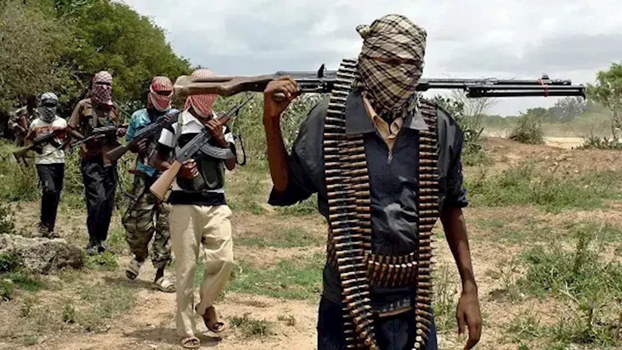 Bandits abduct 26 villagers, rustle several cows in fresh invasion of Niger communities