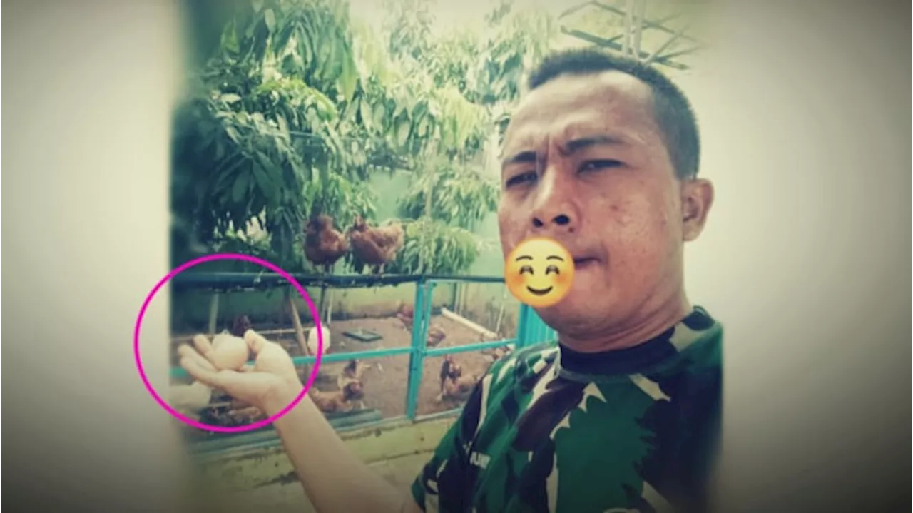 Gilaaa... Sersan Nunuy Nekat Jual Endog Hayam Milik Pak Dandim Purwakarta Raja Aibon Kogila