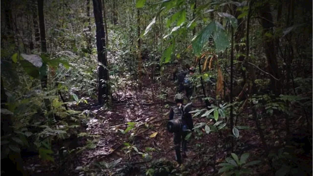 Kronologi Tukang Ojek Asal Jember Tewas Ditembak Kelompok Kriminal Bersenjata di Puncak Jaya