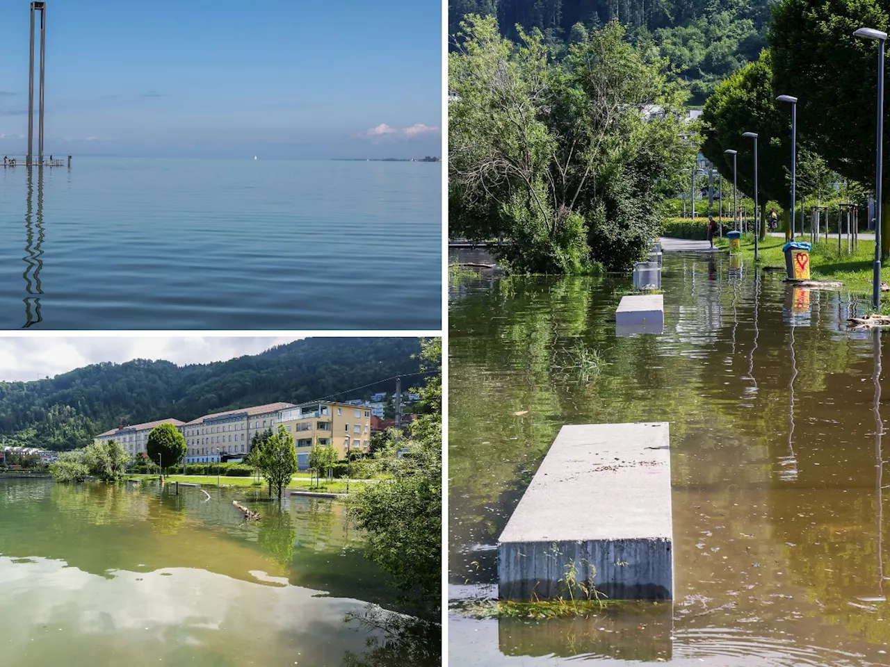 Hochwasser-Lage: So sieht es aktuell am Bodensee aus