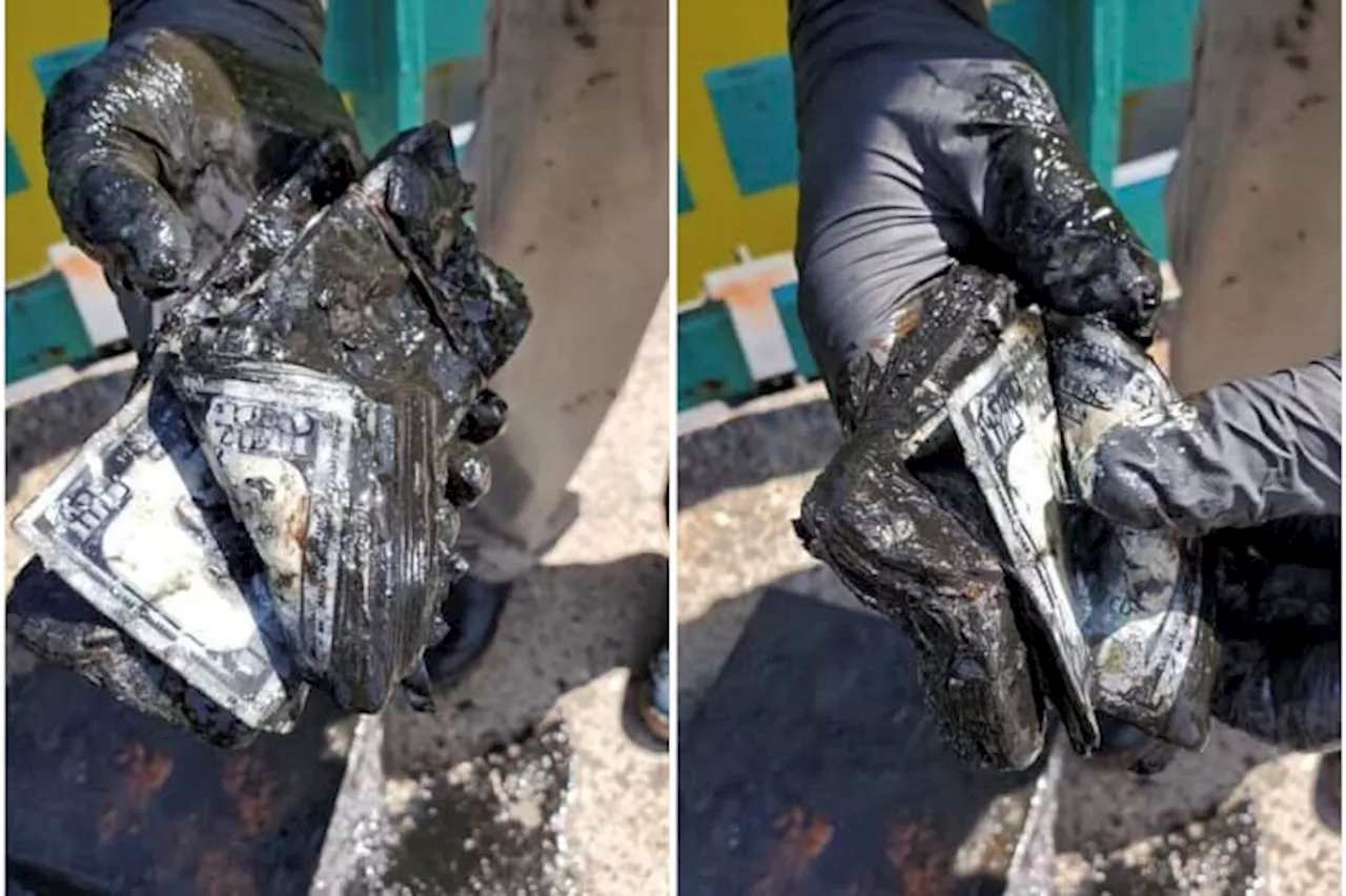 New York magnet fisher catches safe full of soggy $100 bills, he says