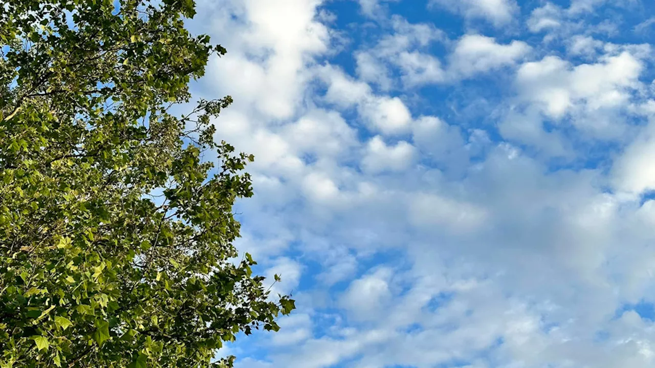 Columbus Weather: Hot, humid Tuesday ahead; slight chance of pop-up storms