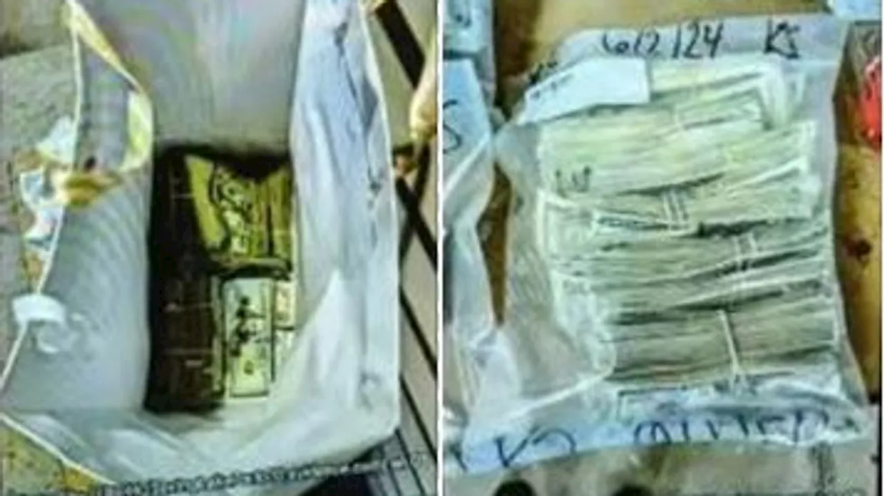 Juror reports getting bag of $120K, promise of more if she'll acquit