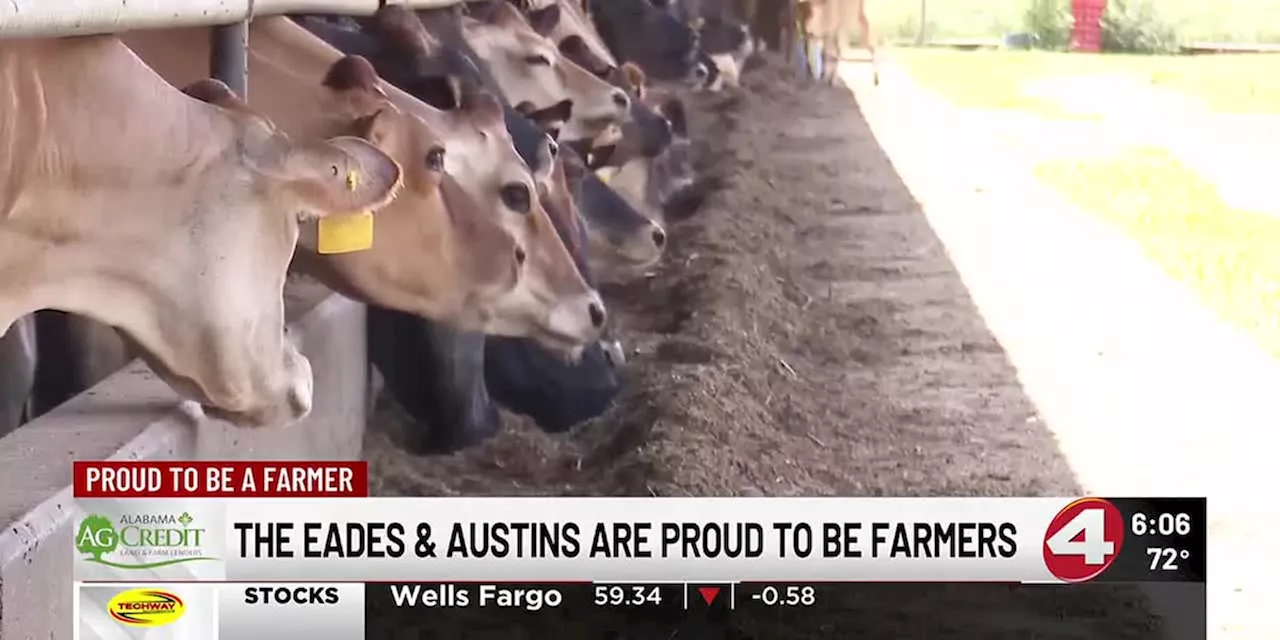 Why the Eades & Austins are proud to be farmers