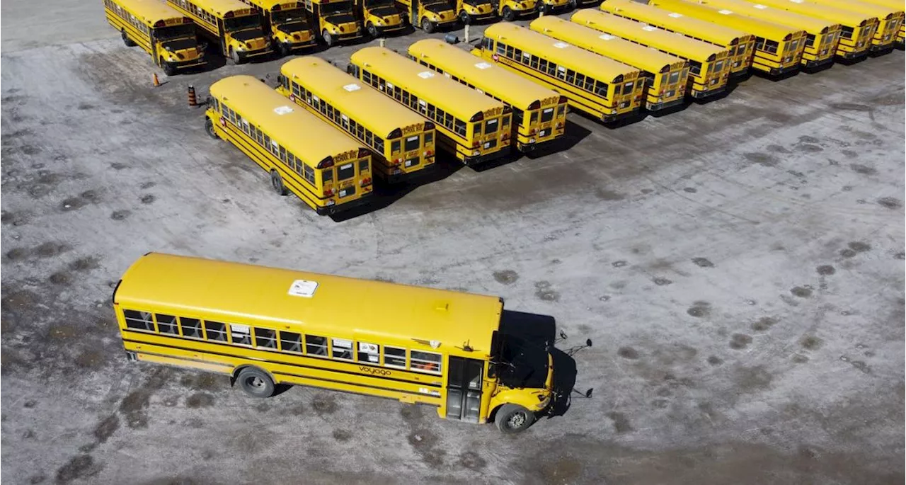 New Brunswick school bus drivers fail to meet licensing, training requirements: audit