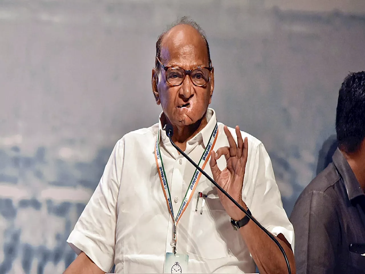 Sharad Pawar : चंद्राबाबू नायडूंना फोन केला का? शरद पवारांनी केलं स्पष्ट, म्हणाले 'मी...'