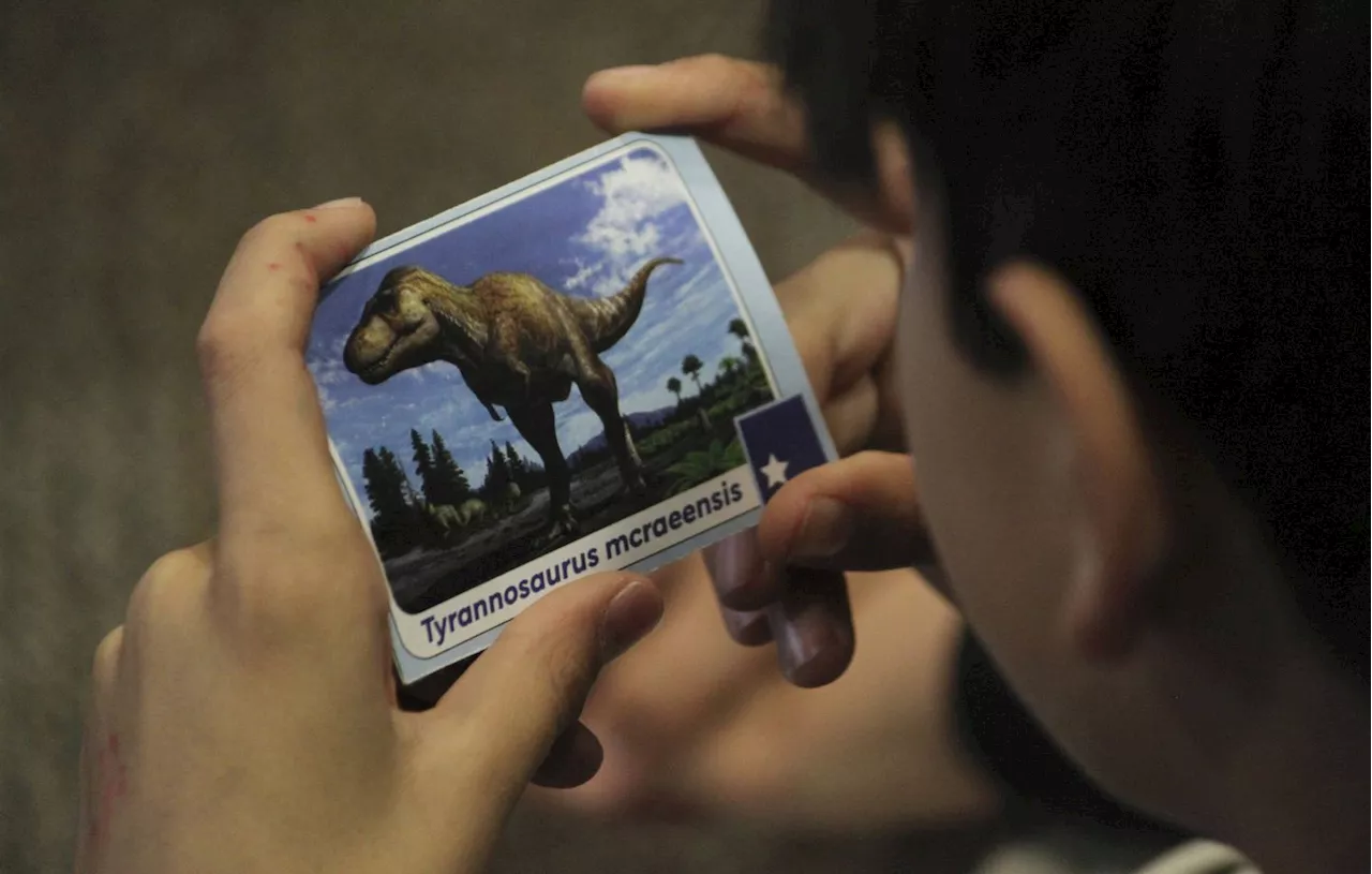 Etats-Unis : En cherchant des fossiles, trois enfants découvrent les restes d’un jeune tyrannosaure