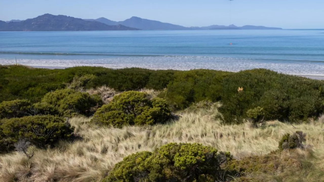 Beachside arm bone discovery stays a mystery more than two decades after find