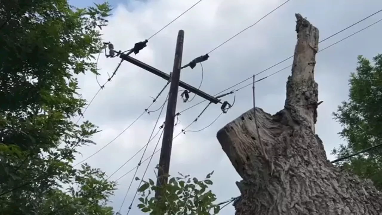 59-year-old man succumbs to injures from downed line in Lake Conroe, authorities say