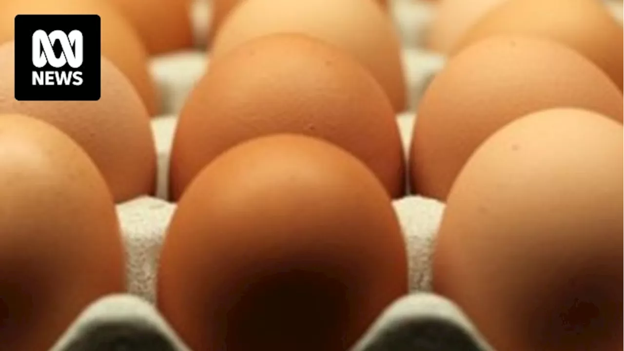 'Fewer eggs on shelves' as bird flu culls affect production, says poultry industry